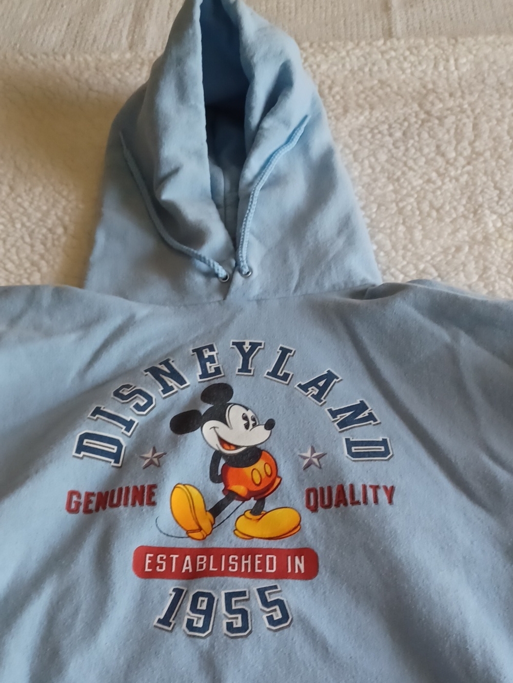 Disney Disneyland Resort Light Blue Pullover Hoodie